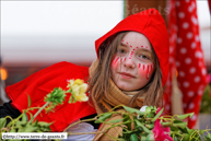 BAILLEUL (F) - Carnaval de Mardi-Gras 2013 / Les Imperturbables – BAILLEUL (F)